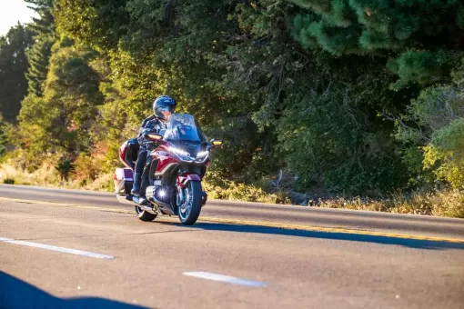 goldwing-gallery6.jpg