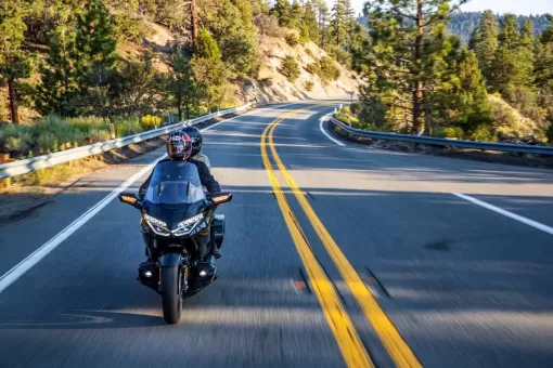 goldwing-gallery13.jpg
