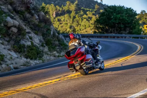 goldwing-gallery5.jpg
