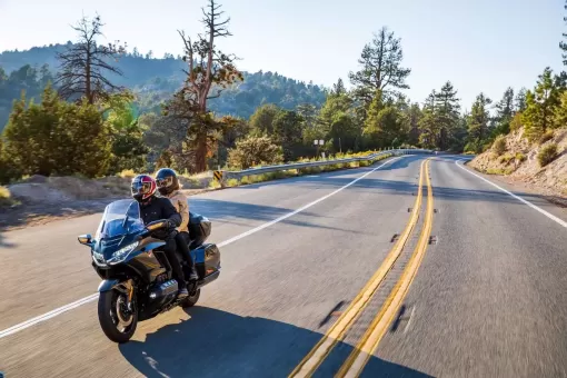 goldwing-gallery12.jpg
