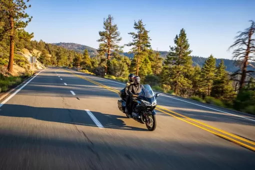 goldwing-gallery14.jpg